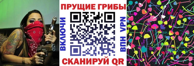 гидра хочу Кунгур Галлюциногенные грибы мицелий